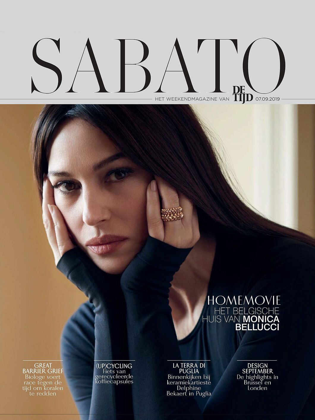 spider in the web. sabato magazine