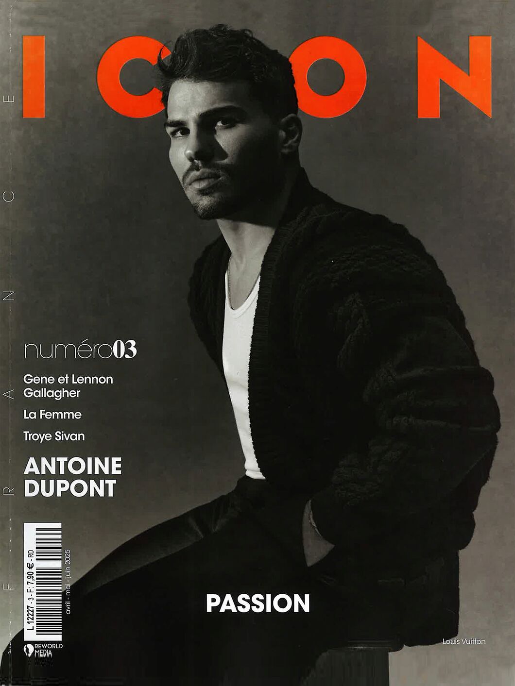 icon. france
